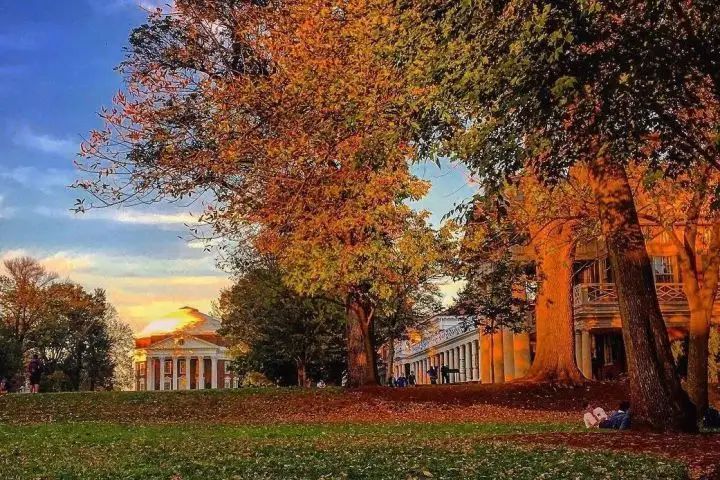 ������2022������ѧ�̿Ƶ�������