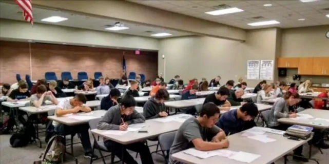 �߿�������������ѧ����Щ������