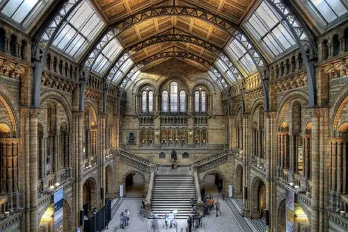 2023�꡶��ȫ��ѧָ�ϡ�������Ӣ����ѧ������¯