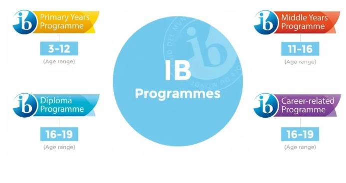 IB�γ̵���ѧʲô�������������ѡ���IB�γ��ʺ���Щ���ӣ�,���ʾ��������̾������̿ƾ��������ƾ�����������������ƾ��������ʹ��̾����������̿ƾ��������������������������ƾ�����������ƾ�����alevel����,alevel���߸���,ap�γ̷���,ap�γ���ѵ,alevel��ѵ,ib�γ�,igcse���Ͽγ�,igcse�γ̼۸�,�������ʽ���,����ѧУ�����ڹ���ѧУ���Ϻ�����ѧУ����������ѧУ�����ݹ���ѧУ���㽭����ѧУ��������ѧУ����۹���ѧУ����������ѧУ���Ĵ�����ѧУ�����չ���ѧУ����������ѧУ