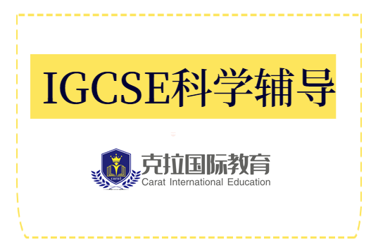 gcse���ѧʲô?