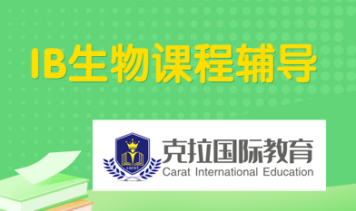 IB���￼���ص�ʻ��ܽ�