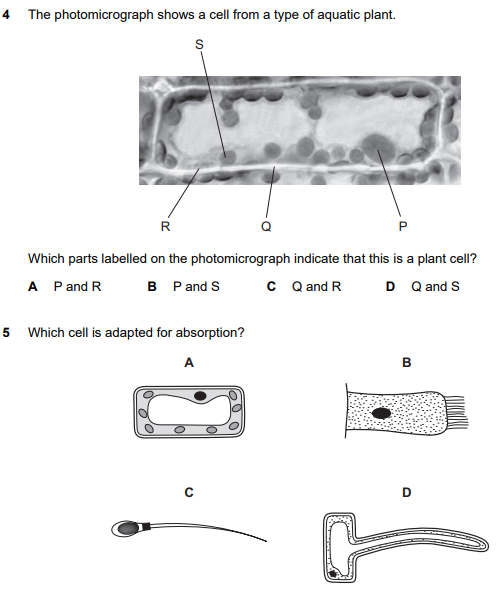 igcse���￼�����⽲��