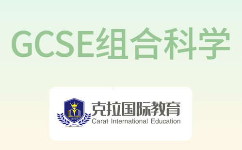 gcse��ʷ�γ�����