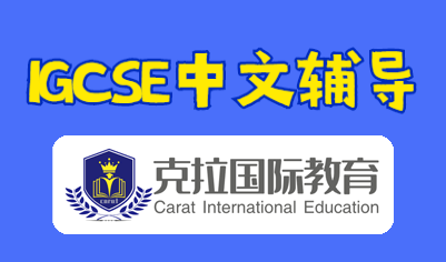 igcse����essay����ôд��