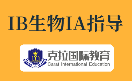 IB����IA��Ŀû�뷨?��30����Ŀ����ȥ~