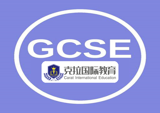 igcse��ѧ������������Щ��