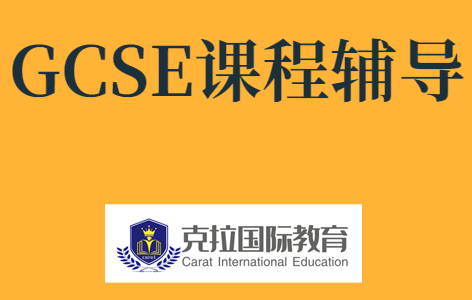 igcse�������Ծ���ʲô����