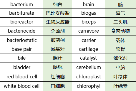 a-level生物专业术语清单整理-2 a-level生物专业术语清单整理-2