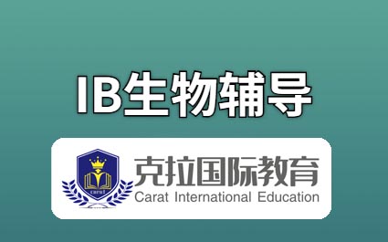 ib����ʵ��IAѡ�����ôѡ��