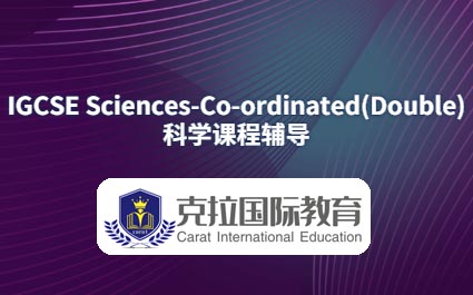 IGCSE��ѧCo-ordinated(Double)0654���Ը���