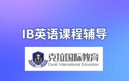 IBӢ�︨����IBӢ��γ����ݽ���