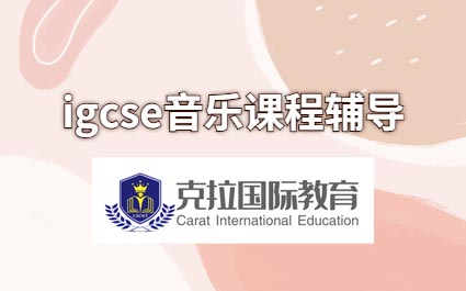 igcse���ֿ��Կ�ʲô��