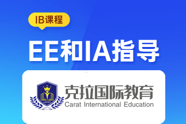 IB�γ̵�EE��IA��ʲô����