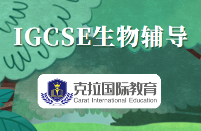 igcse��ƿ������ֱ�׼����