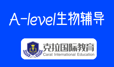 alevel���￼�Լ����Ծ���