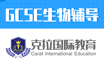 gcse���Կ�Ŀ����Щ?