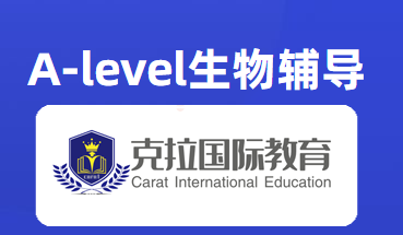 A-Level���￼��֪ʶ���ܽ�