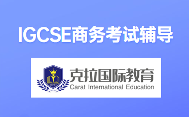 GCSE�������?