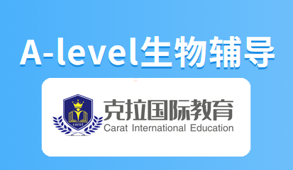 A-level���￼�����ͽ���