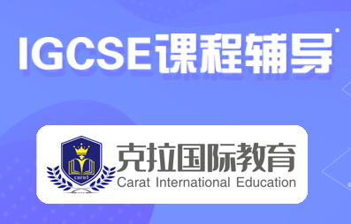 IGCSE Enterprise��ҵ�γ̸���