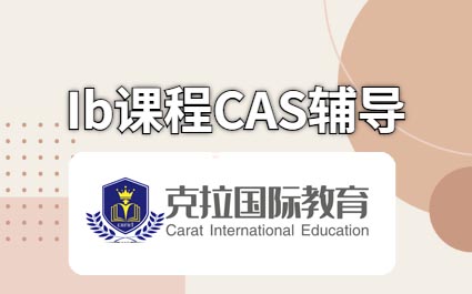 IB�γ�CAS�γ���ϸ����