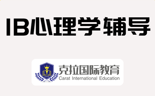 ib����ѧ�γ�ѧʲô��