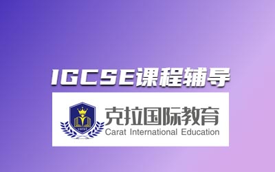 IGCSE��ѧ���ſ���ôѧ��