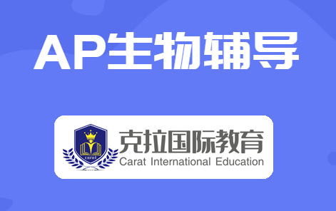 ap����γ���ʲô������