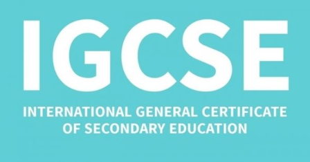 igcse�γ��Ǹ��пγ���