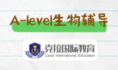 alevel���￼�Դ���ܽ�