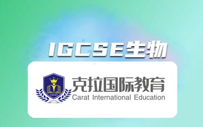 igcse��ƿ�������Щ��
