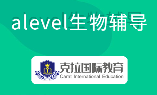 alevel����ʻ��