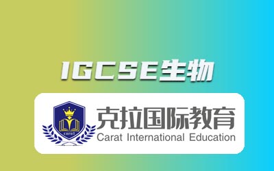 igcse���ĵ�һ�����Ծ�����