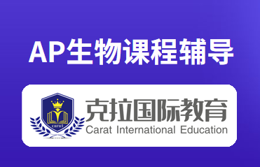 AP������ap����֪ʶ������