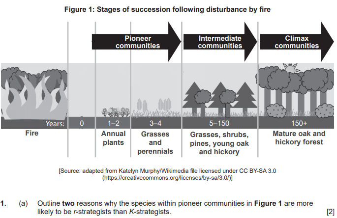 IB����ϵͳ����ῼ������