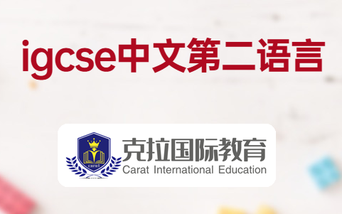 Igcse�����γ���������Щ��