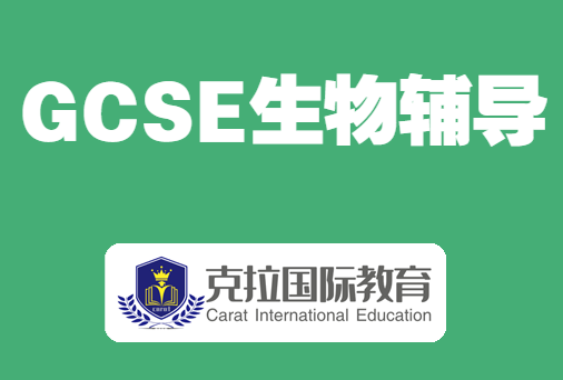 gcse���ÿγ��ص�ʻ��ܽ�