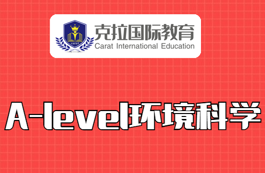 alevel������ѧ�γ�ѧʲô?