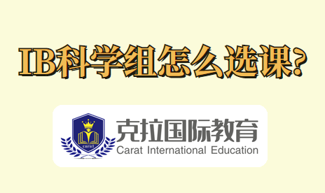 ib��ѧ����ôѡ��?