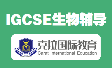 gcse��igcse����������Щ��