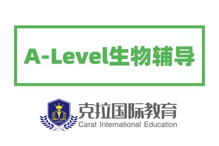 A-level���￼�㶼����Щ��