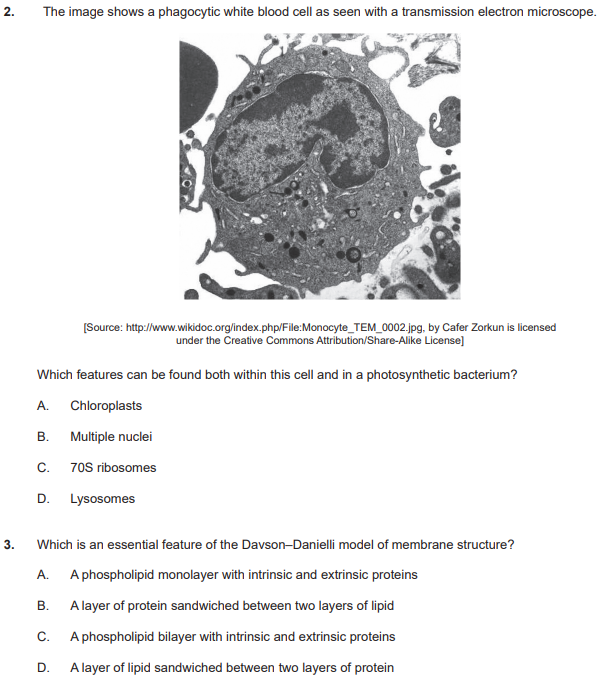 IB生物真题讲解 IB生物真题讲解