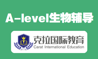 alevel���︨��ѡ�ļң�alevel�������ôѧ��