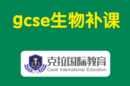 gcse��Ͽ�ѧ�γ�����