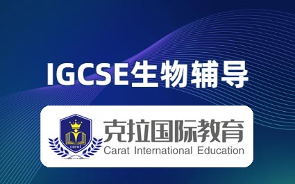 IGCSE���︨���γ̽���