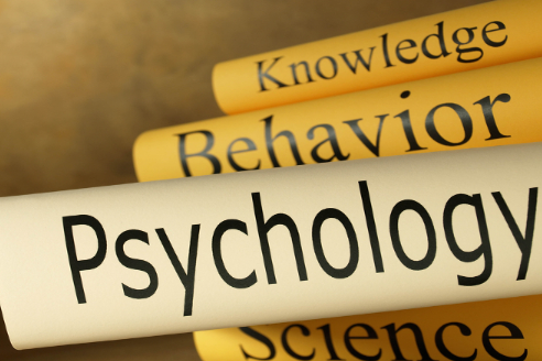 AP����ѧ�γ���������Щ��