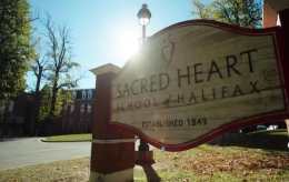 ���׶��������