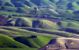 ������ѧԺ