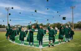 ��˹ά����ѧ